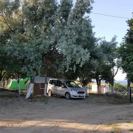 Dama Kamp Alani * Karaincirli