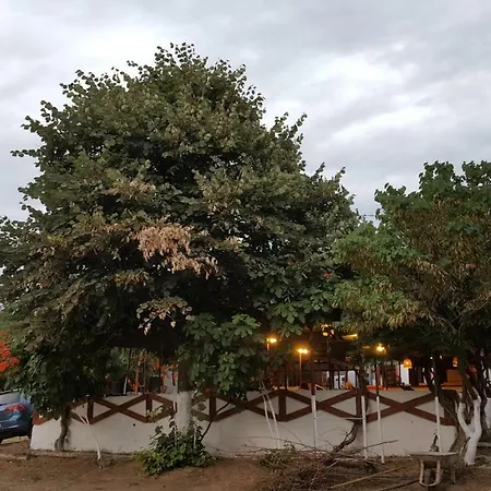 Dama Kamp Alani אוהל מפואר *