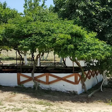 Dama Kamp Alani